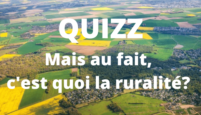 QUIZZ RURALITE